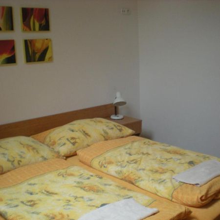 Penzion Barina Dolní Dunajovice 객실 사진