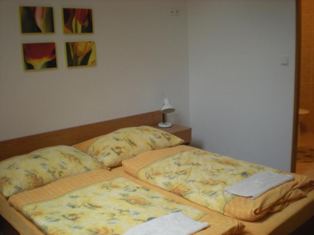 Penzion Barina Dolní Dunajovice 객실 사진